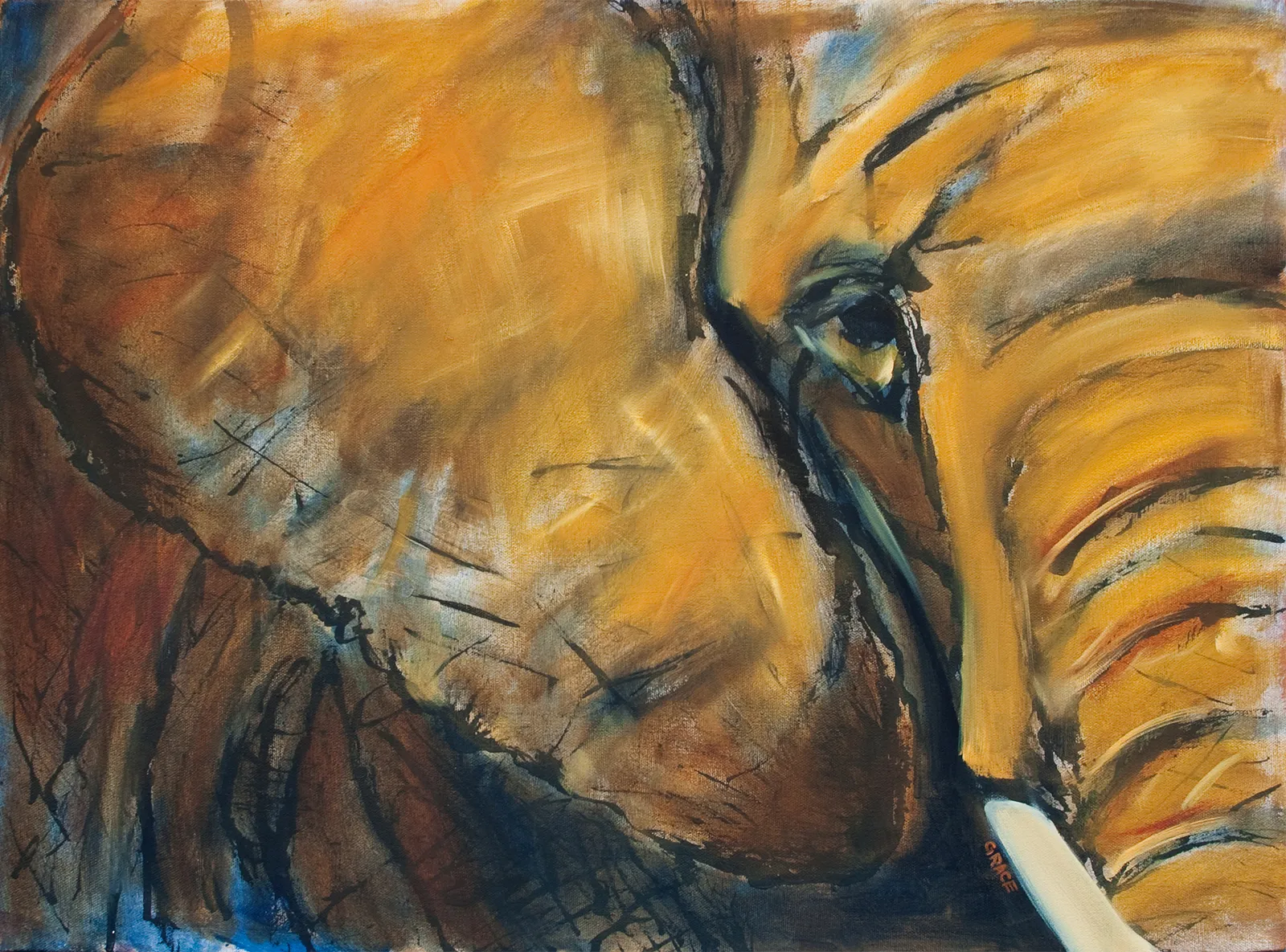 Close-up of an elephant's head in loose amber and black brushstrokes, the eye catching a highlight.