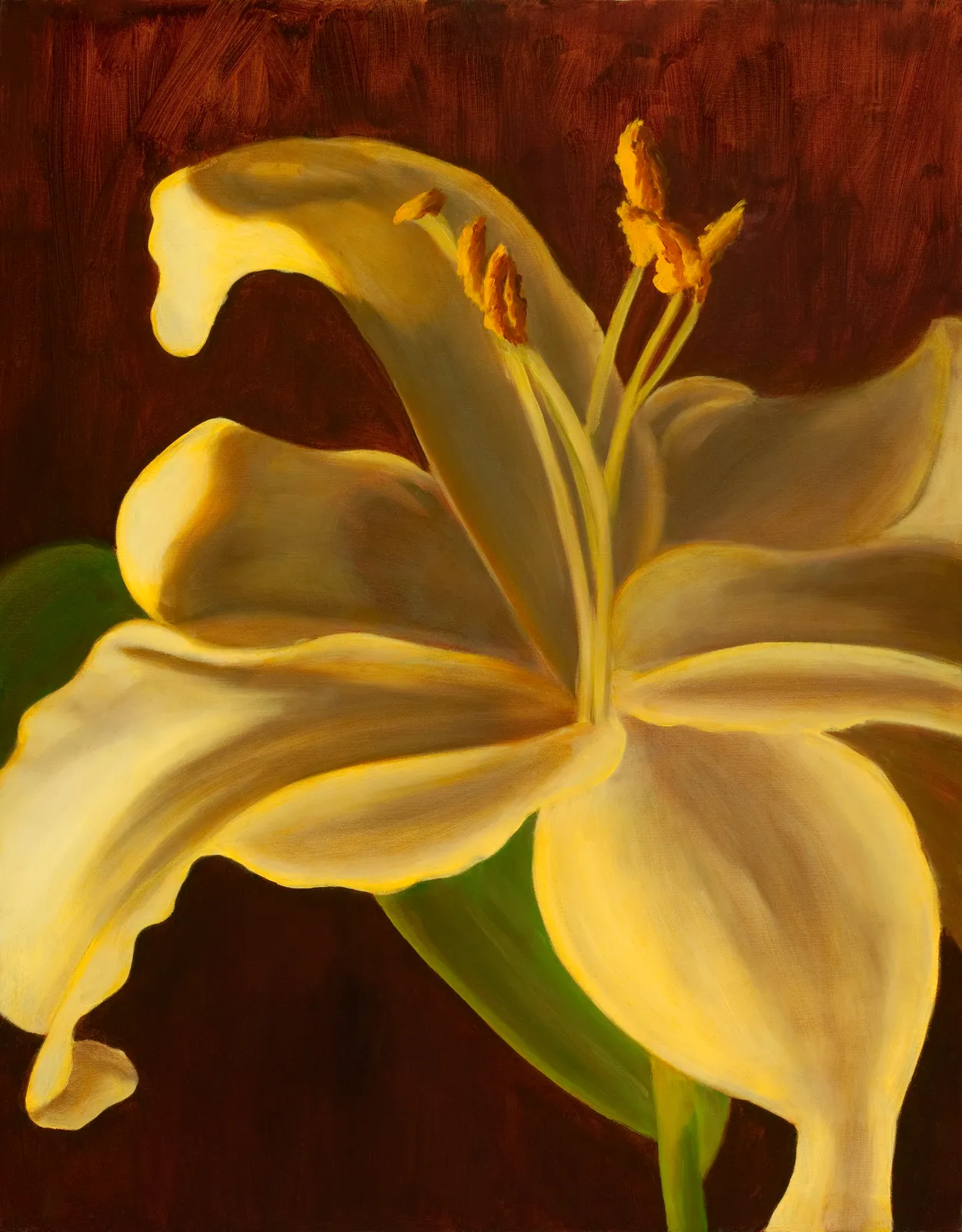 A back-lit white and pale-yellow lily in full bloom, stamens prominent, against a deep burgundy ground.